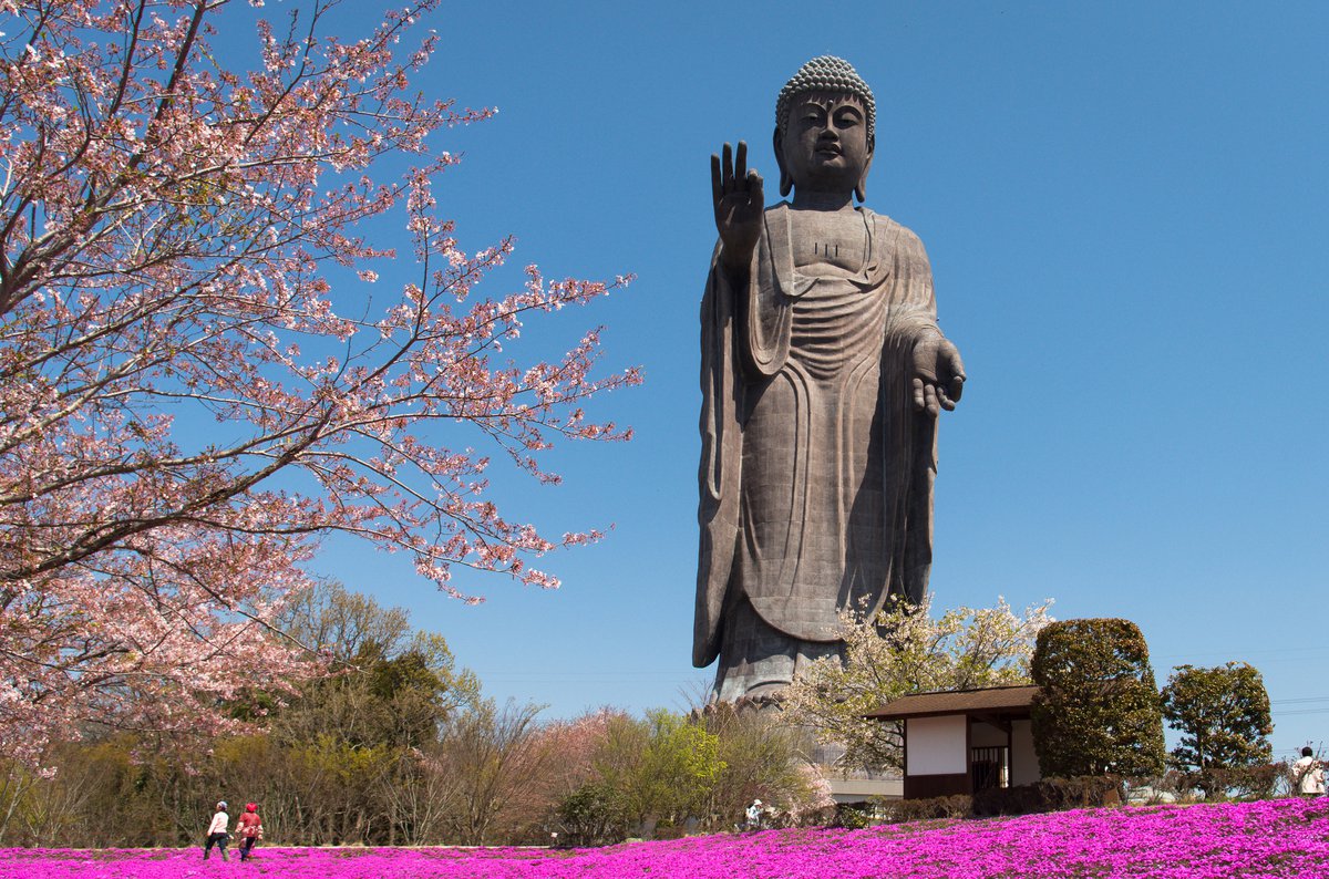 В какой стране находится эта бронзовая статуя Будды высотой 110 метров? 