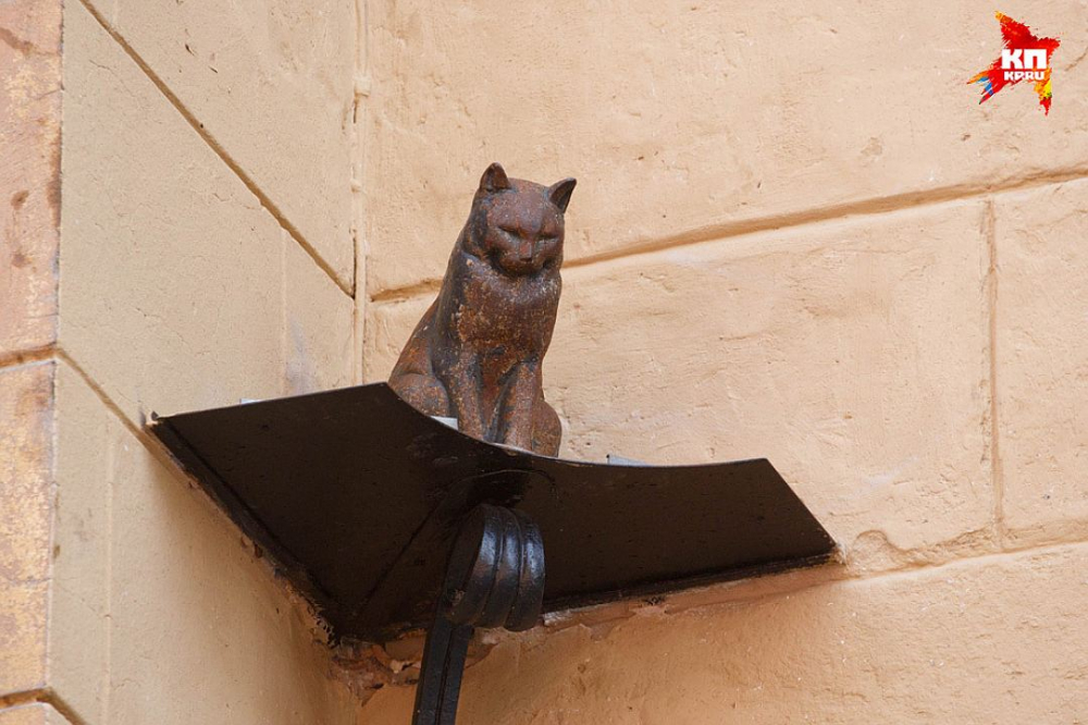 Памятник блокадной кошке в санкт петербурге