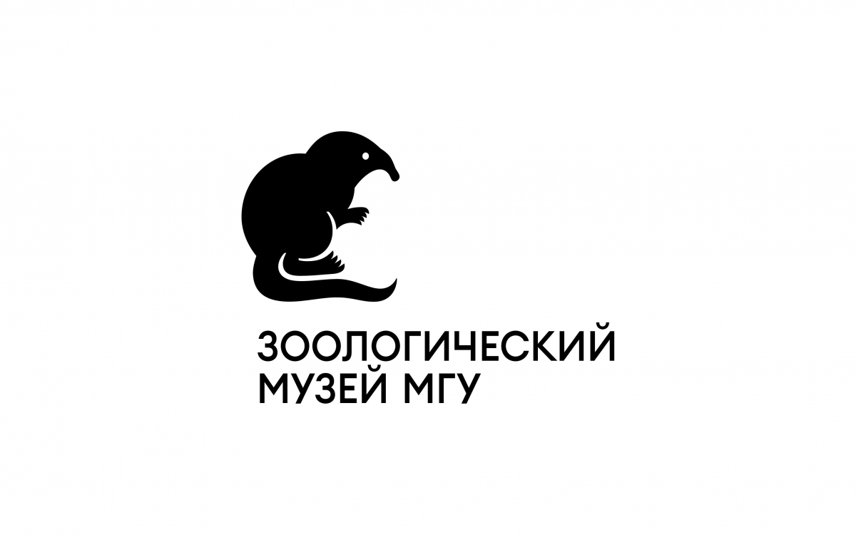 зоологический музей мгу москва