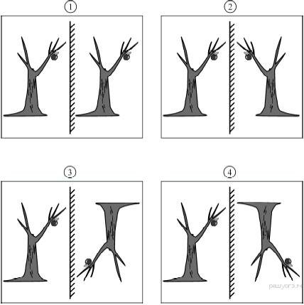 На каком из приведенных ниже рисунков правильно построено изображение