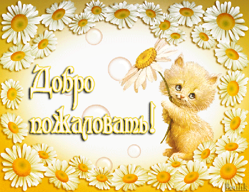 Анимашки - Добро пожаловать