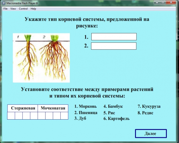 Корни растений тест. Виды корневых систем 6 класс биология. Укажите Тип корневой системы.