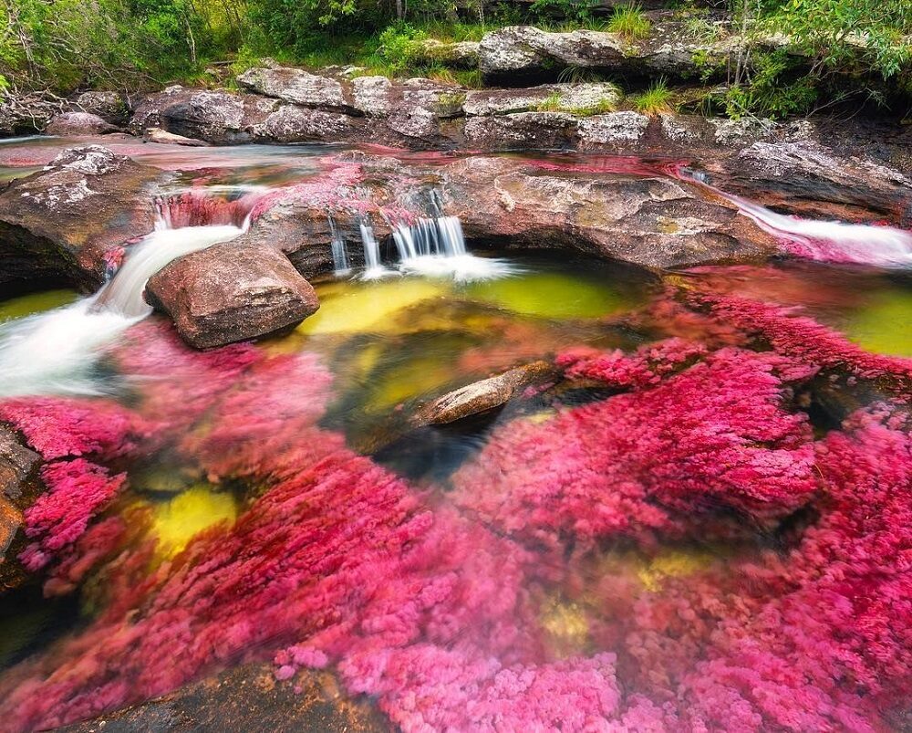 Цветные реки