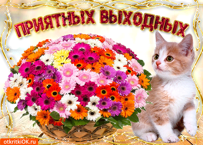 Сбор до 3.11.Estrade -любимая бюджетная марка многих блогеров и визажистов!!! Ка