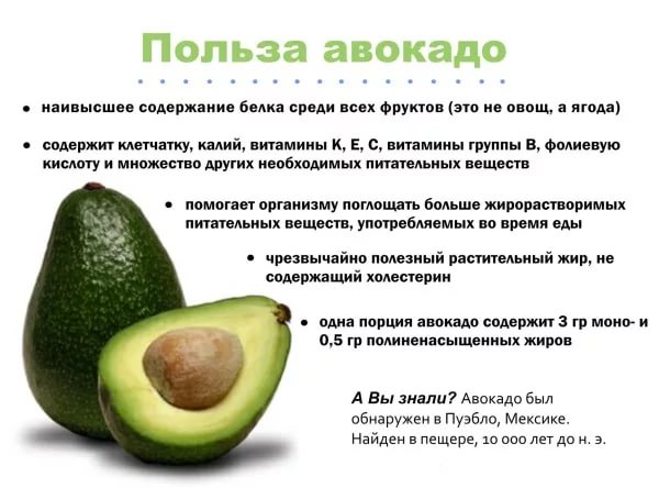 Химический состав авокадо