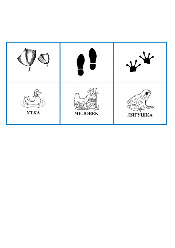 Где чьи следы картинки для детей