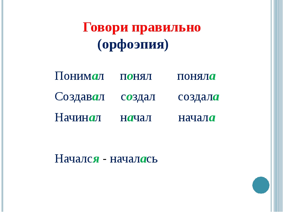 Проект как правильно говорить