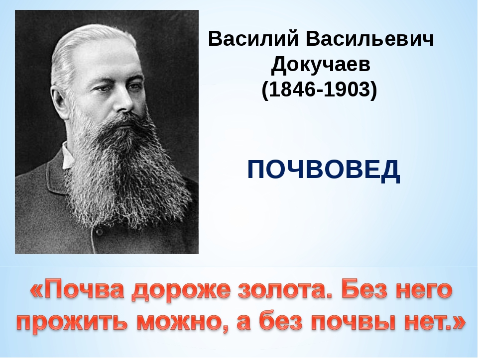 Науку о почве создал. В.В. Докучаев (1846-1903). В. В. Докучаева (1846— 1903).