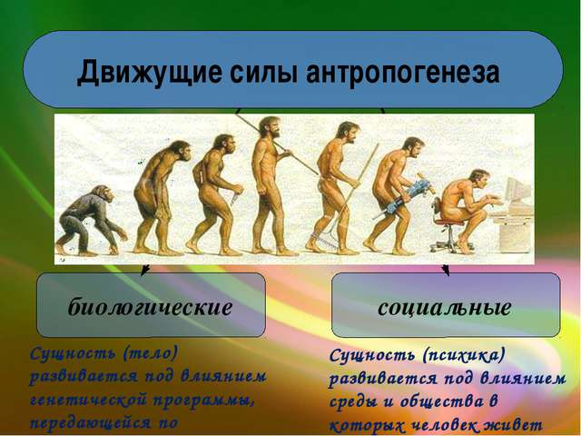 Движущие силы антропогенеза. Эволюция человека. Социальные этапы эволюции человека. Движущие факторы антропогенеза.