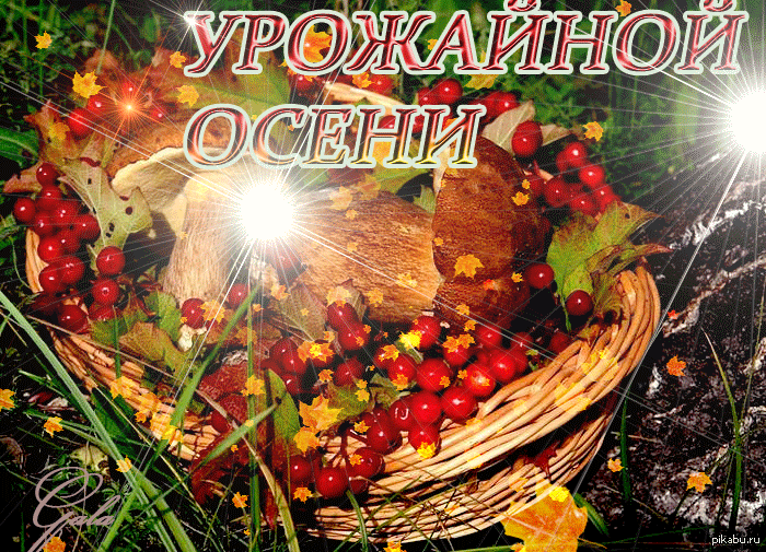 Картинки с октябрем с пожеланиями. Хорошего урожая открытка. Хорошего осеннего урожая. Пожелание хорошего урожая. С урожаем поздравляю.