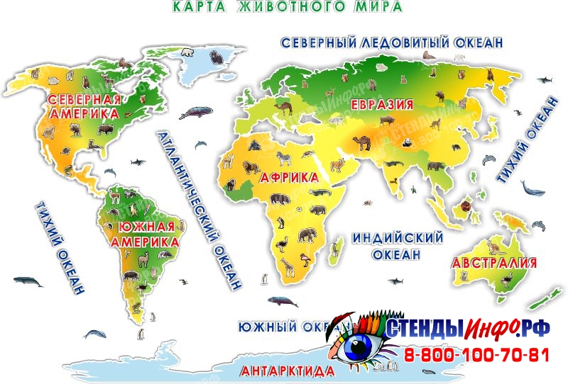 Материки земли названия на карте по окружающему