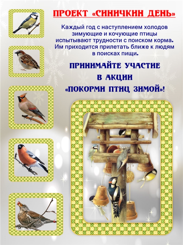 Синичкин день отчет. День зимующих птиц. Листовки о зимующих птицах. Консультация день зимующих птиц. Синичкин день плакат.