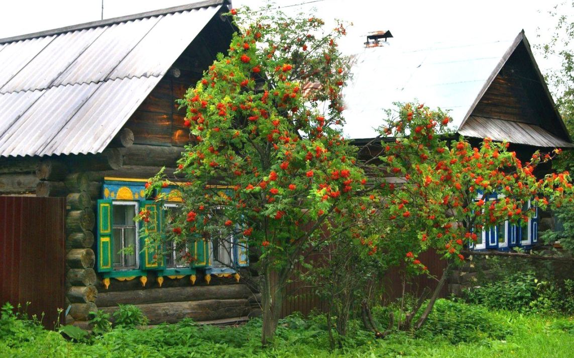 мне снится дом где я росла (100) фото