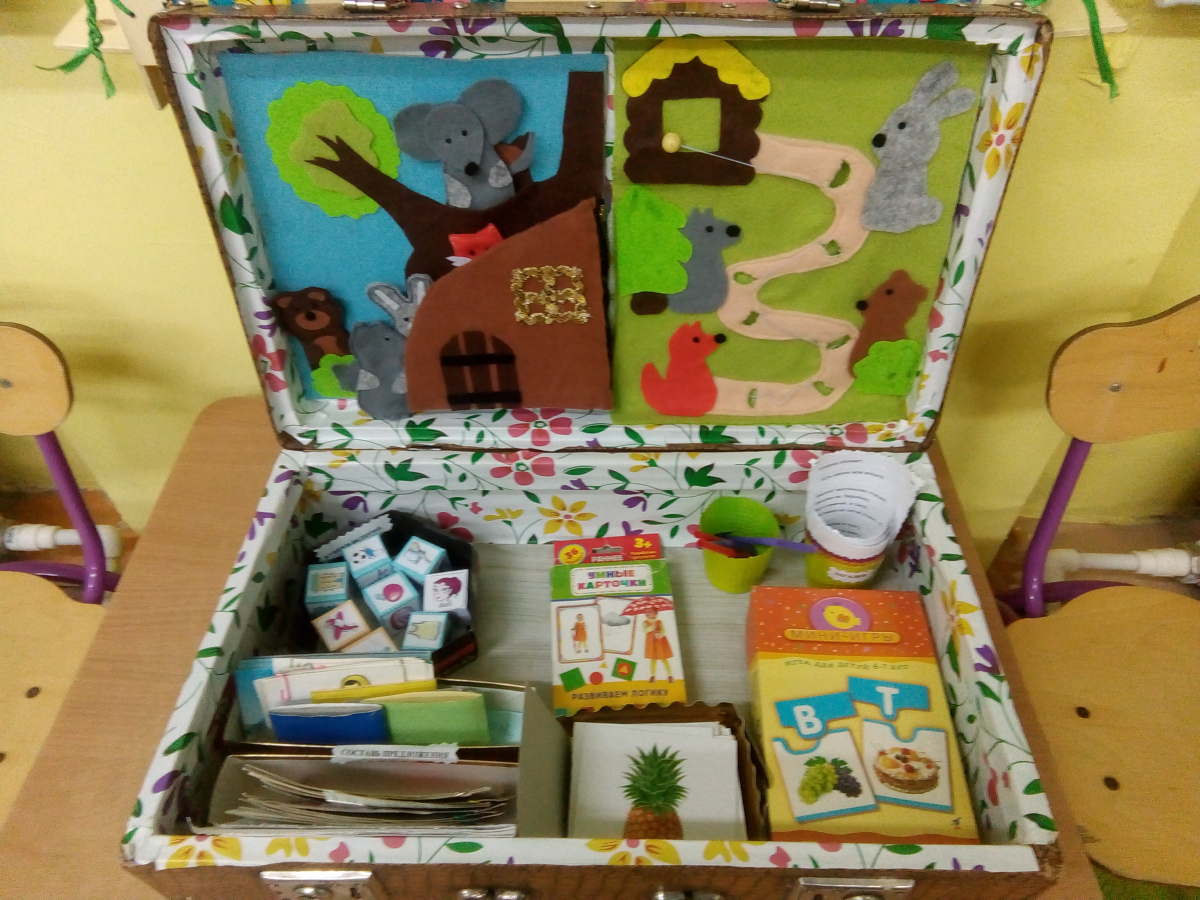 Игра открой коробку. Экологический чемоданчик. Чемоданчик в детском саду. Лэпбук чемоданчик. Экологический чемоданчик для дошкольников.