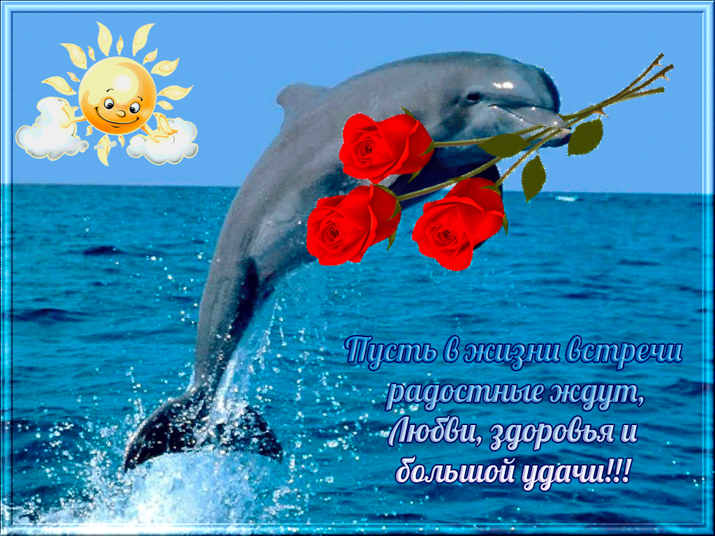 Поздравляю пусть здоровье не подводит. Открытки. Открытки с пожеланиями. Поздравления с днём рождения море. С днём рождения дельфиг.