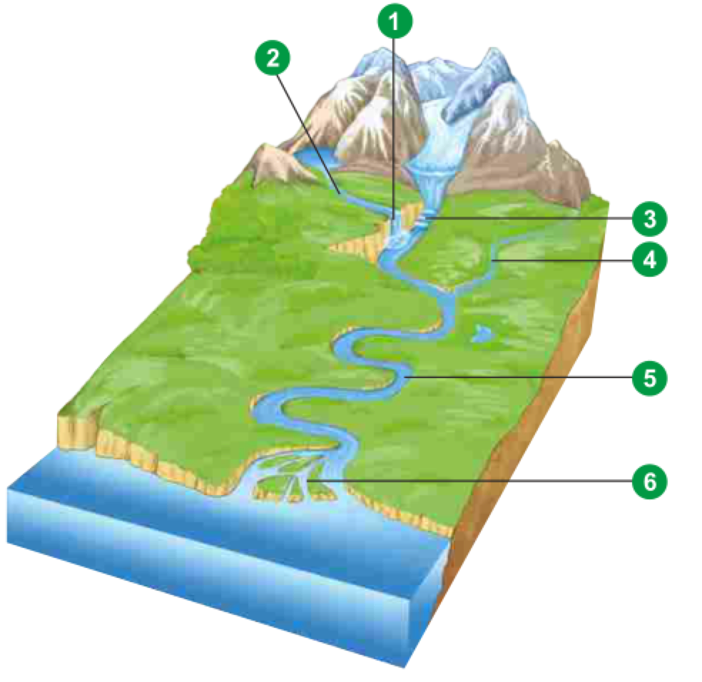 География устье реки