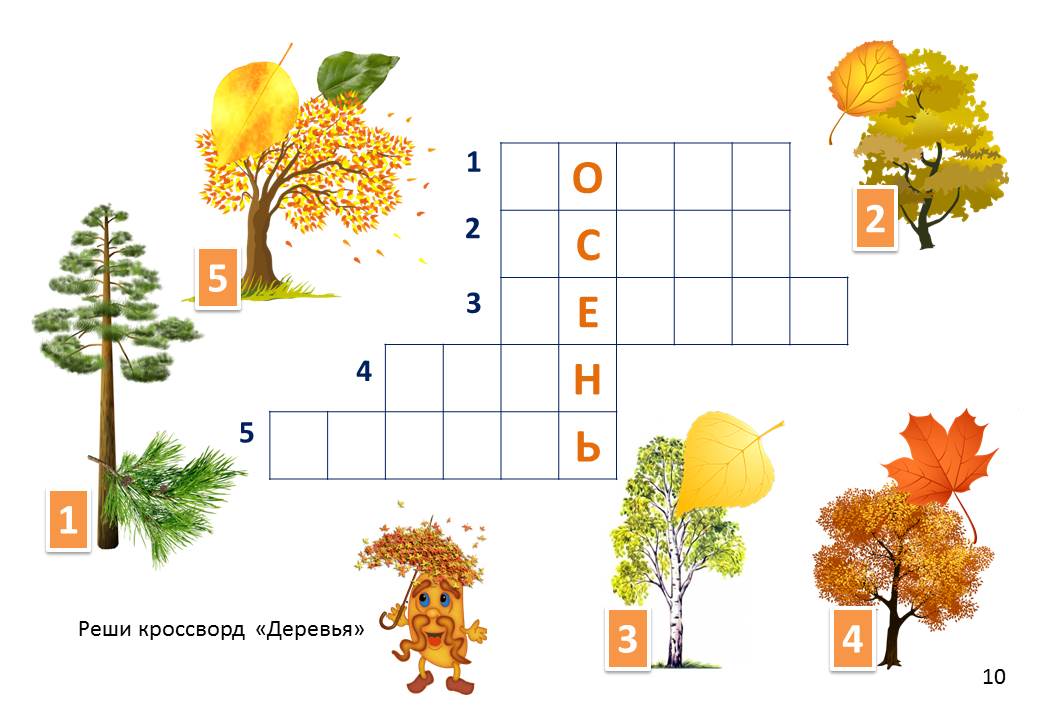 Угадай ответ дерево. Кроссворд на тему осень. Осенний кроссворд для детей. Кроссворд деревья. Осенние задания для детей.