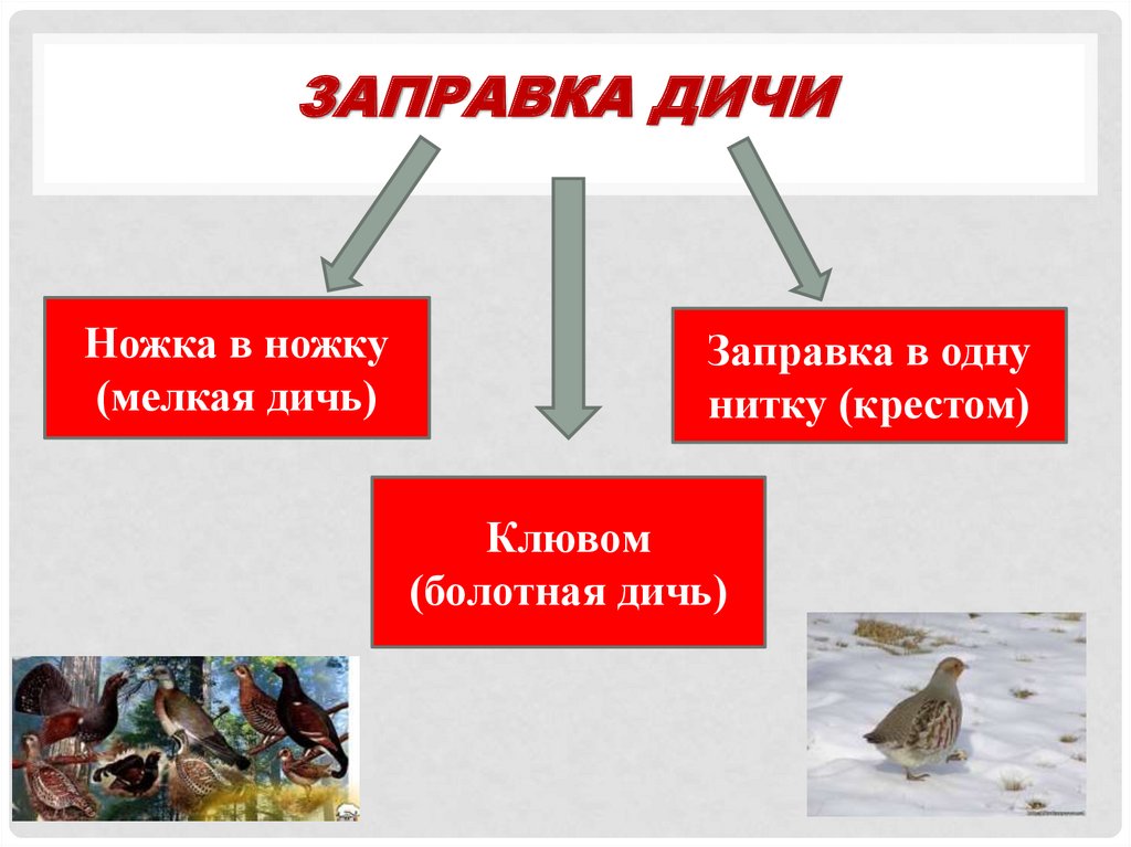 Какие виды дичи. Какие способы заправки птицы и дичи. Способы заправки тушек птиц.