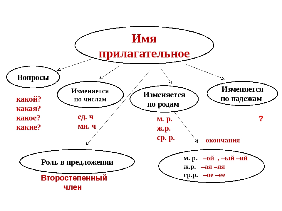 Схема имени прилагательного